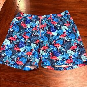 Tropical Flamingo Swim Trunks - Blue and Pink